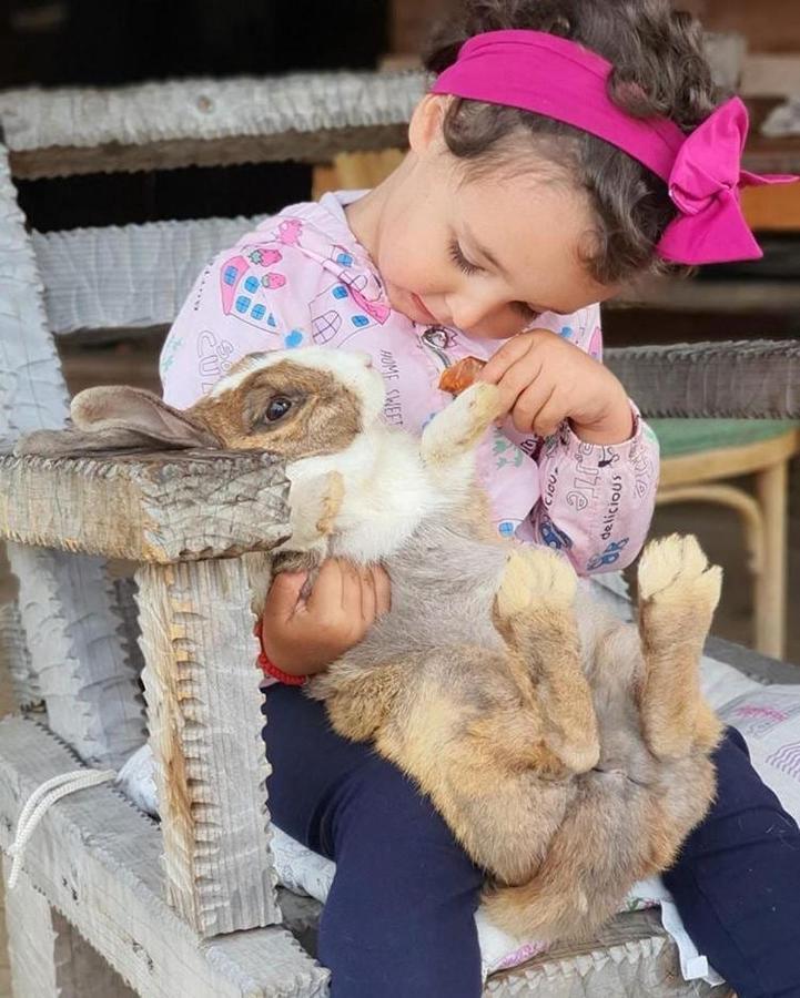 Etno Village Katun Žabljak Εξωτερικό φωτογραφία