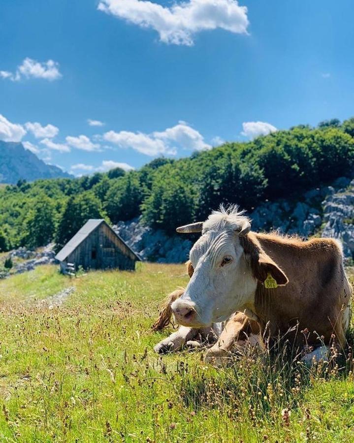 Etno Village Katun Žabljak Εξωτερικό φωτογραφία