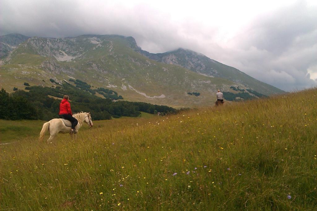 Etno Village Katun Žabljak Εξωτερικό φωτογραφία