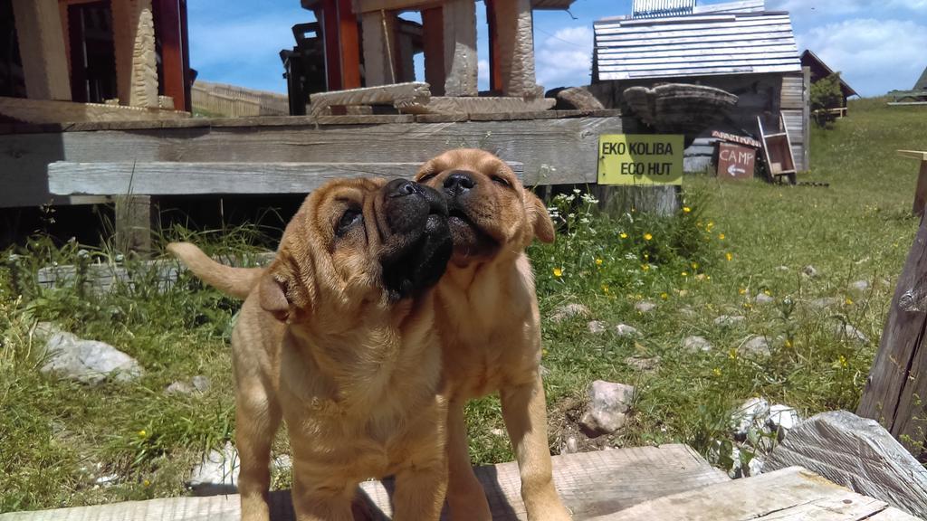 Etno Village Katun Žabljak Εξωτερικό φωτογραφία
