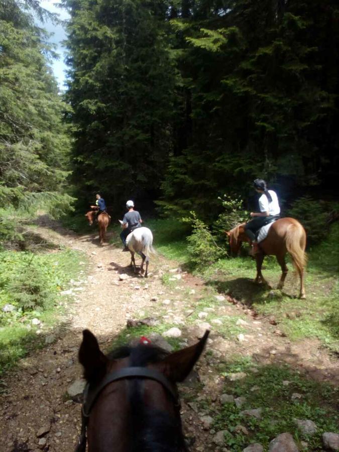 Etno Village Katun Žabljak Εξωτερικό φωτογραφία